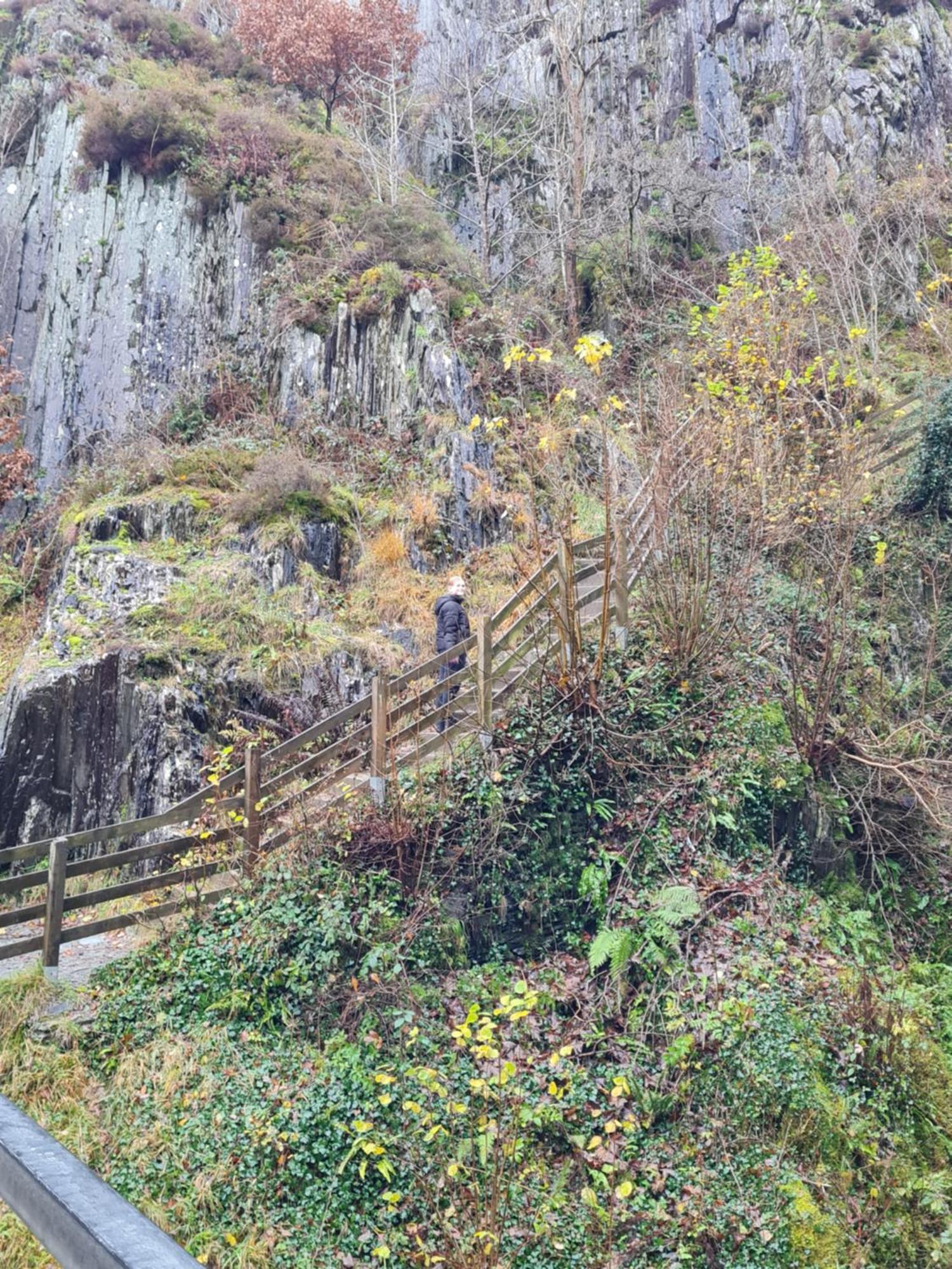 Marian Cottage Ingleton  Luaran gambar